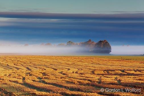 Morning Mist_08939.jpg - Photographed near Carleton Place, Ontario, Canada.